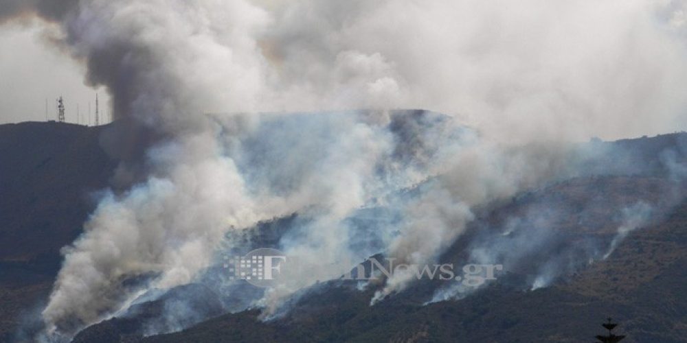 Στάχτη δεκάδες στρέμματα από την πυρκαγιά στη Μαλάξα