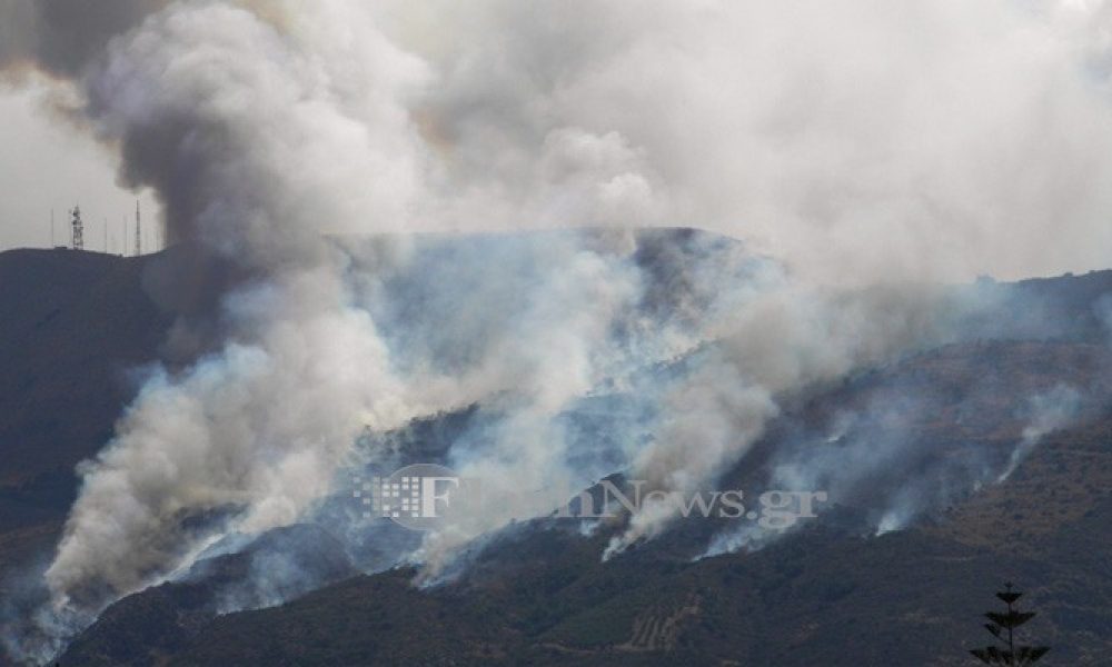 Στάχτη δεκάδες στρέμματα από την πυρκαγιά στη Μαλάξα