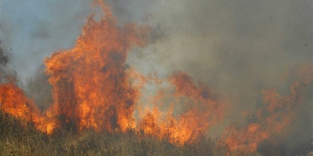 Πυρκαγιά στο Κολυμπάρι Χανίων κοντά στην Ορθόδοξη Ακαδημία Κρήτης