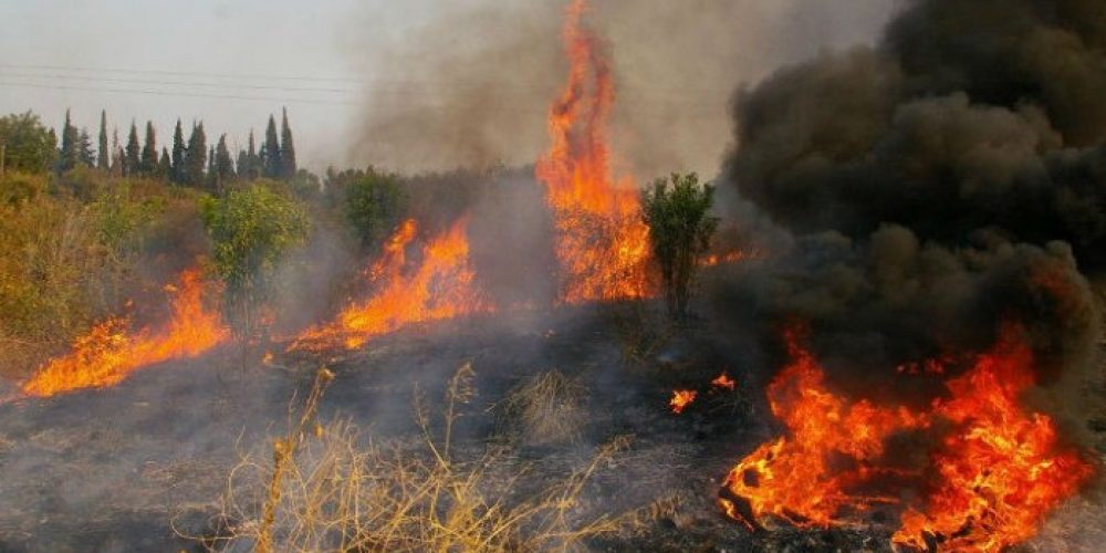 Χανιώτες που έκαιγαν κλαδιά υπεύθυνοι για τις φωτιές σε Ροδωπού & Φωτακάδο