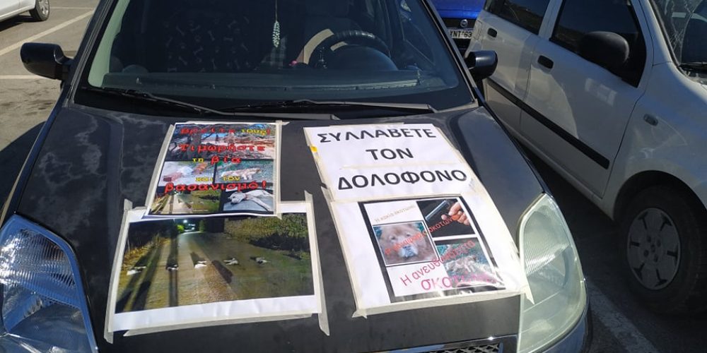 Χανιά: Αυτοκινητοπορεία για την δολοφονία σκυλιών με σύνθημα «Συλλάβετε τον Δράστη» (φωτο)