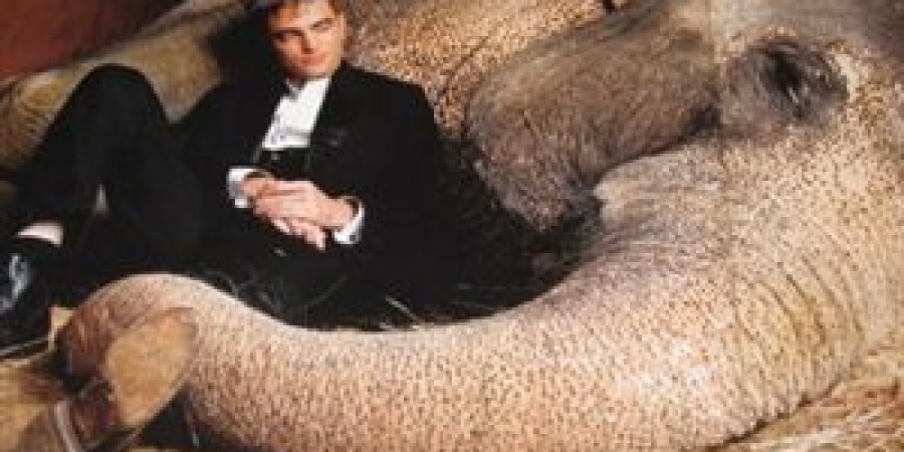 Στο στόμα ενός ελέφαντα ο Robert Pattinson!