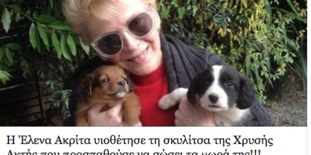 Η Έλενα Ακρίτα υιοθέτησε τη σκυλίτσα της Χρυσής Ακτής