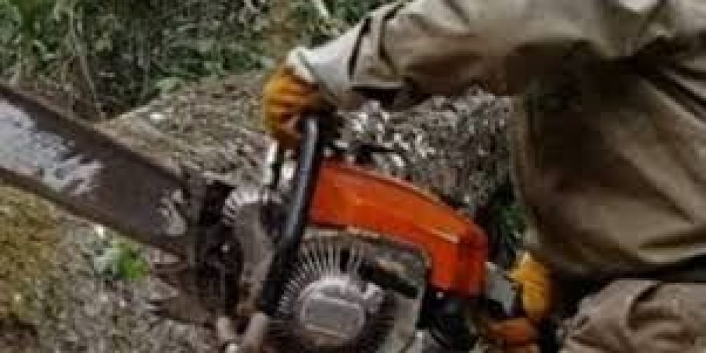 Κρήτη: Βρήκε το θάνατο στο χωράφι ενώ έκοβε ξύλα