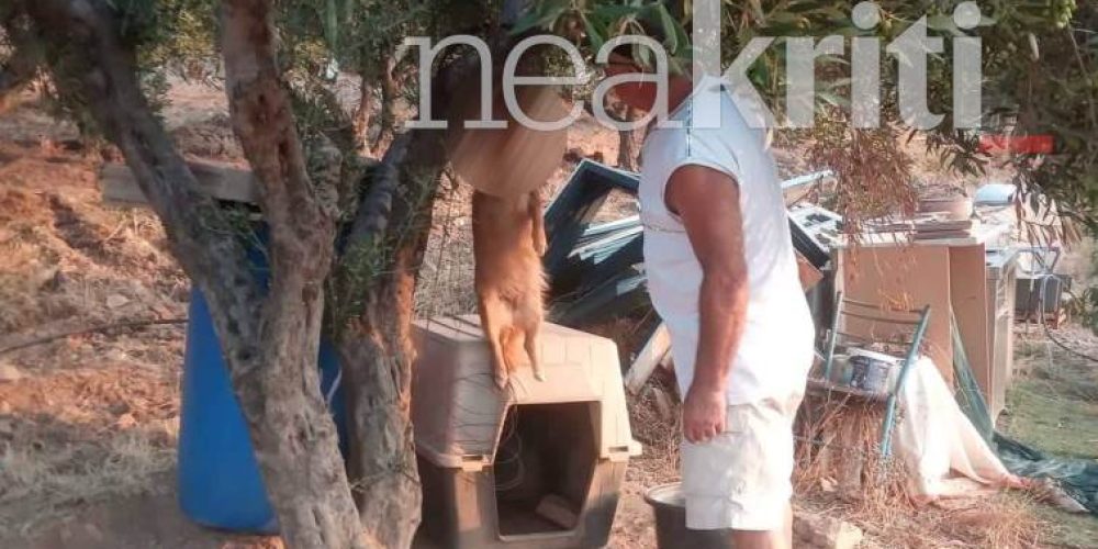 Νέα κτηνωδία στην Κρήτη: Βρήκαν την σκυλίτσα τους κρεμασμένη (φωτο)