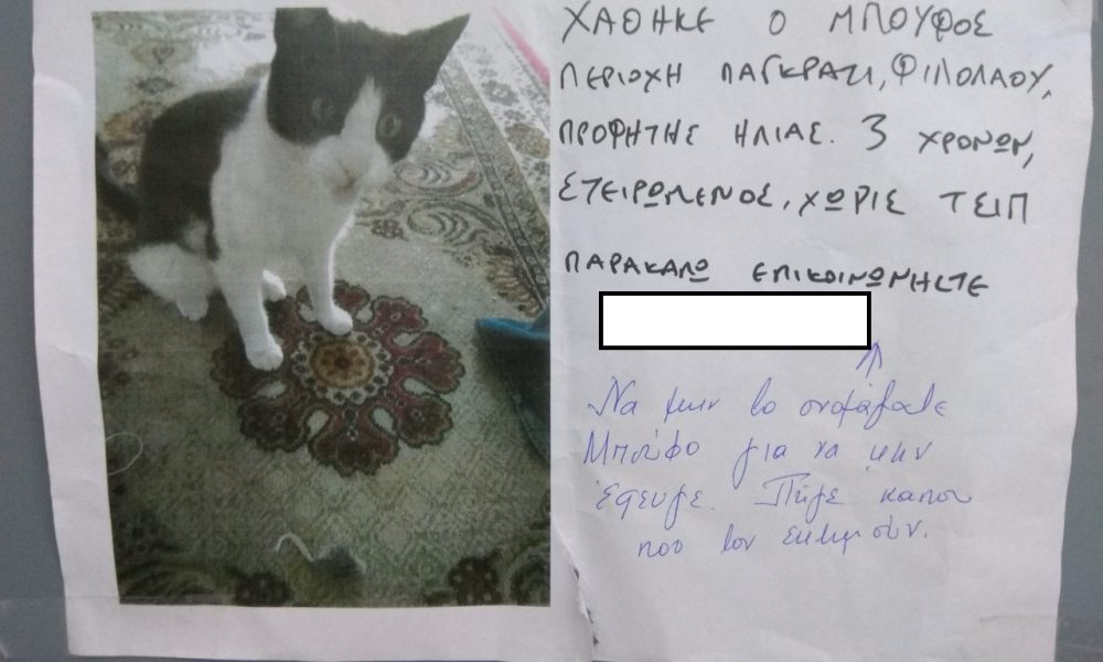Μυθική απάντηση σε ανακοίνωση για χαμένο γάτο στο Παγκράτι που τον έλεγαν Μπούφο (φωτο)
