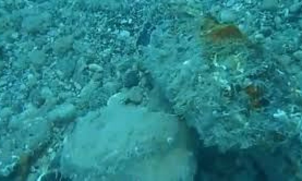 Βρέθηκαν βλήματα σε θάλασσα των Χανίων