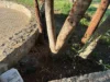 Χανιά: Περιπλανώμενοι επιτέθηκαν με πέτρες σε νεαρή κοπέλα στους Αγίους Αποστόλους! - Εικόνες πλήρους υποβάθμισης στο άλσος (φωτο)