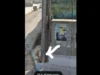 Χανιά: Στο νοσοκομείο αγόρι μετά από ηλεκτροπληξία σε κολώνα του ΔΕΔΔΗΕ – Η καταγγελία της μητέρας