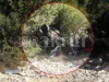 Χανιά: Πώς εκτυλίχθηκε η τραγωδία στον Ομαλό με θύμα τον 60χρονο Κυριάκο (video)